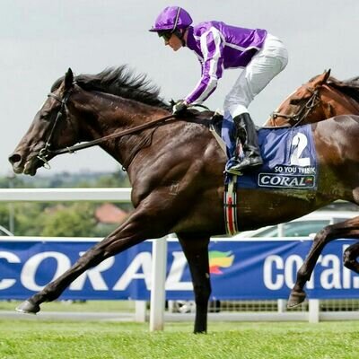 Sportsbook / Photography