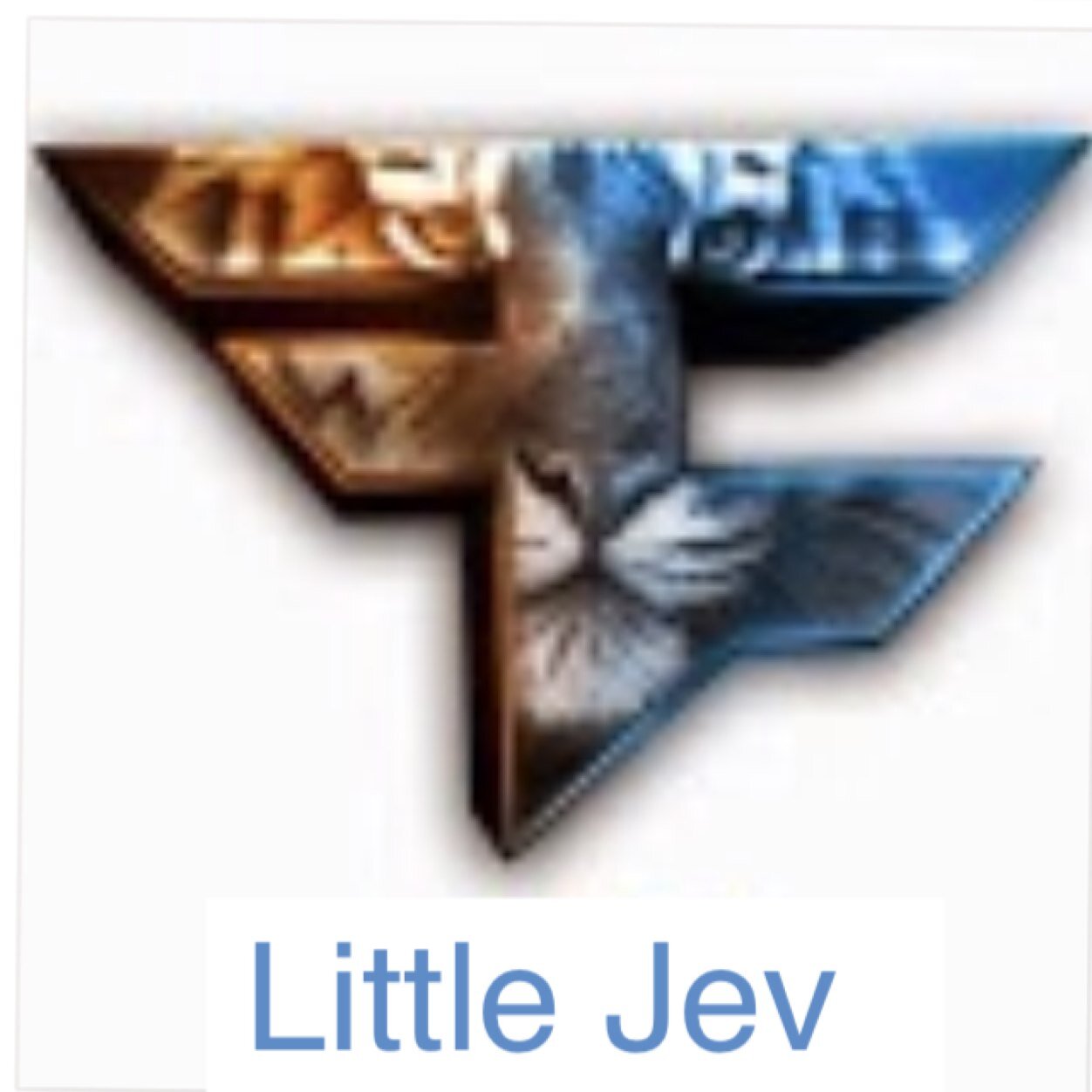 LilJevJr's profile picture. Follow my Dadio @FaZeJev---------YT: https://t.co/uXECdqEwM3