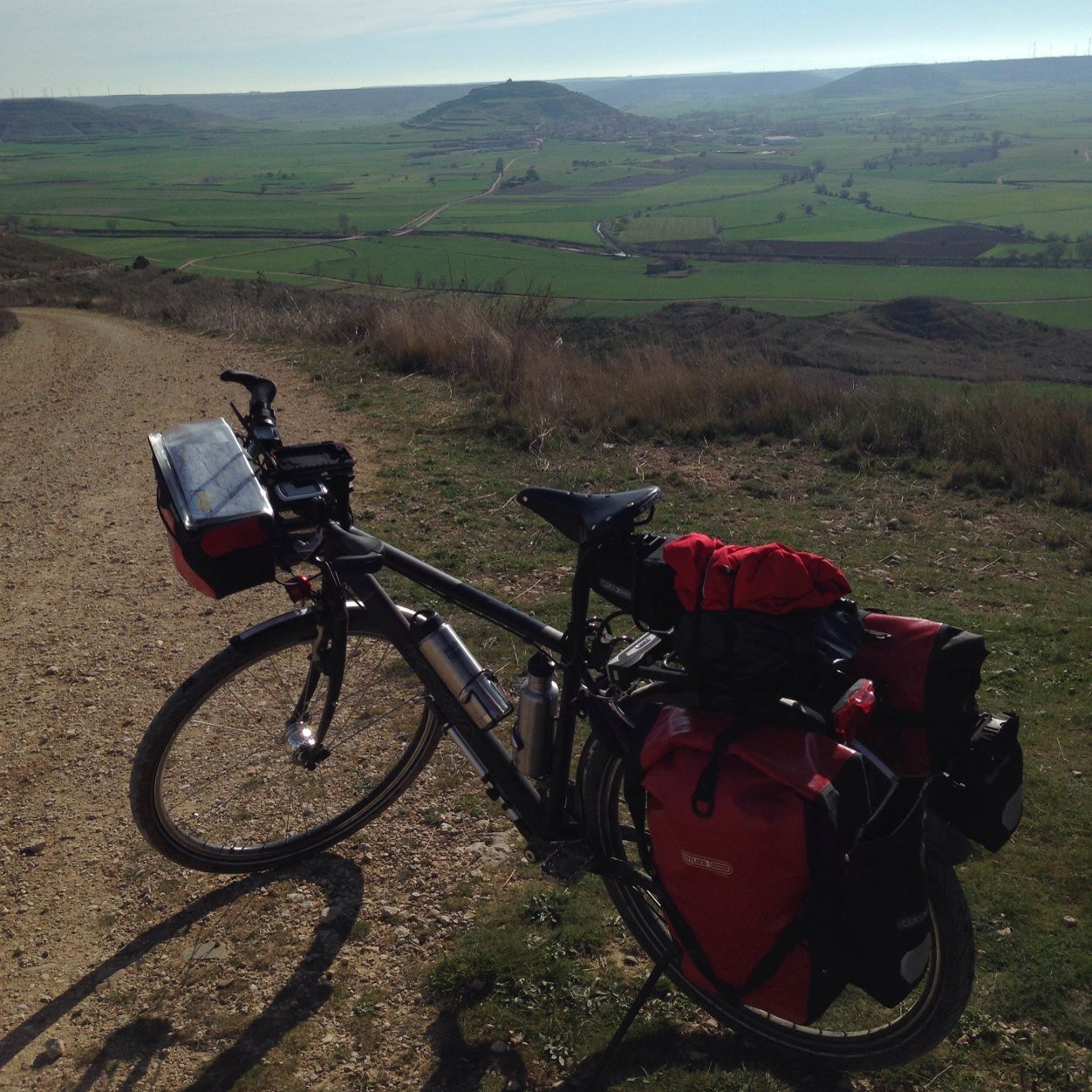 bicienruta's profile picture. 