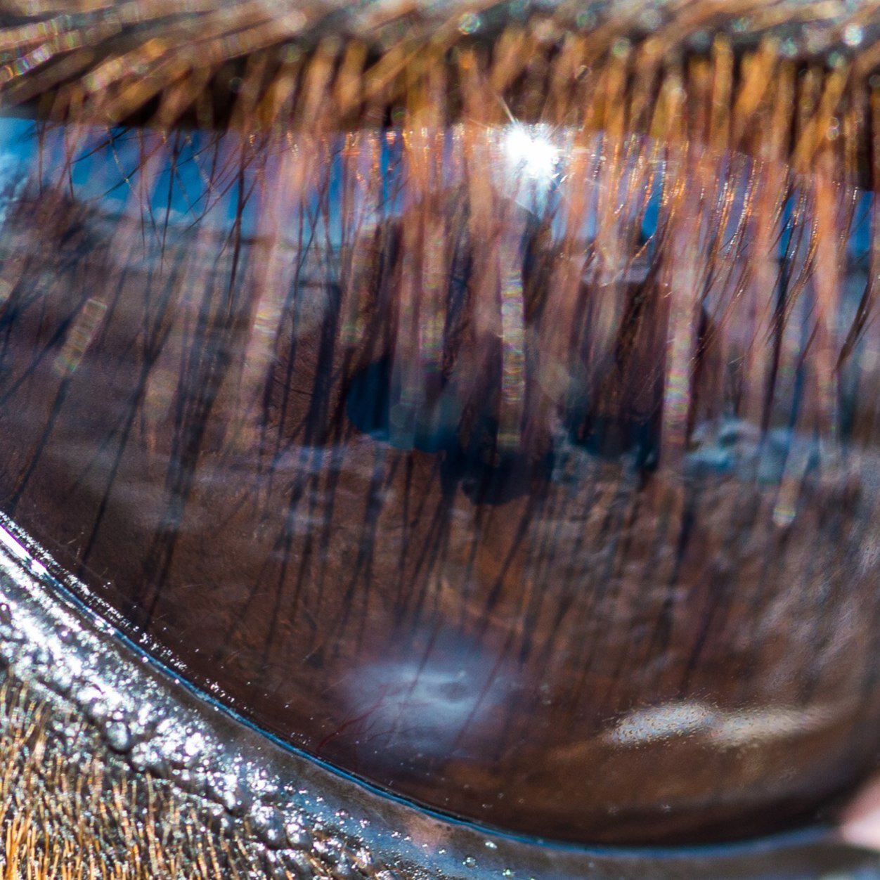 Kaiusch's profile picture. 