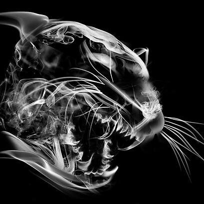 vitointhecloud's profile picture. Site Reliability Engineer