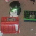 Shana Eve Rowe - @Lvl_3_Kiagara - Twitter