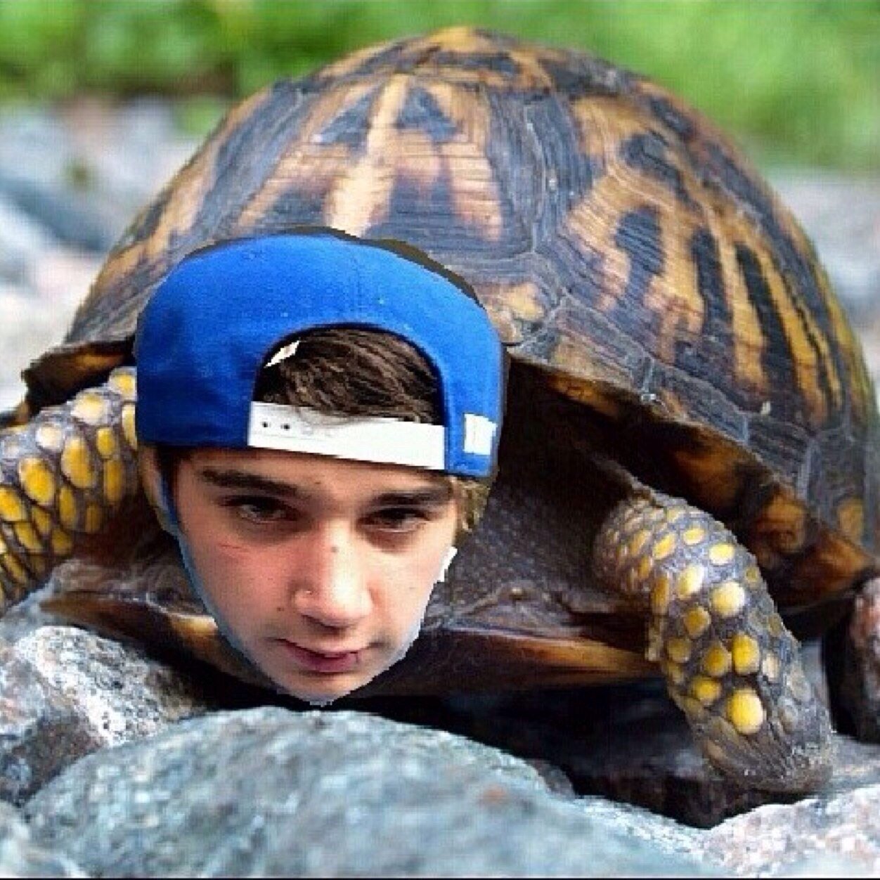 Janoskians? Janoskians. 5/5