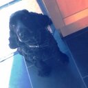 james marshal - @28Marshal - Twitter