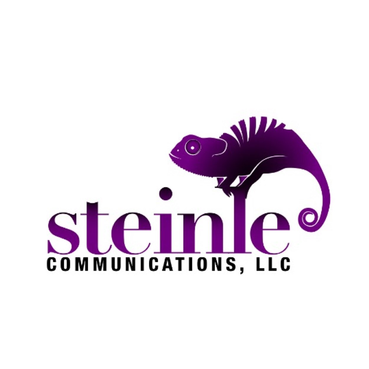 SteinleComm Profile Picture