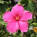 Dana Blakeman - @DanaBlakeman - Twitter