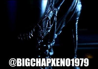 [Alien/Alien: Isolation RP. 18+ content. Multiverse] In space, no one can hear you scream. A survivor. The perfect organism. 9 feet tall.