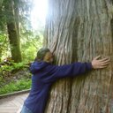 Sara Amish - @SaraAmish - Twitter