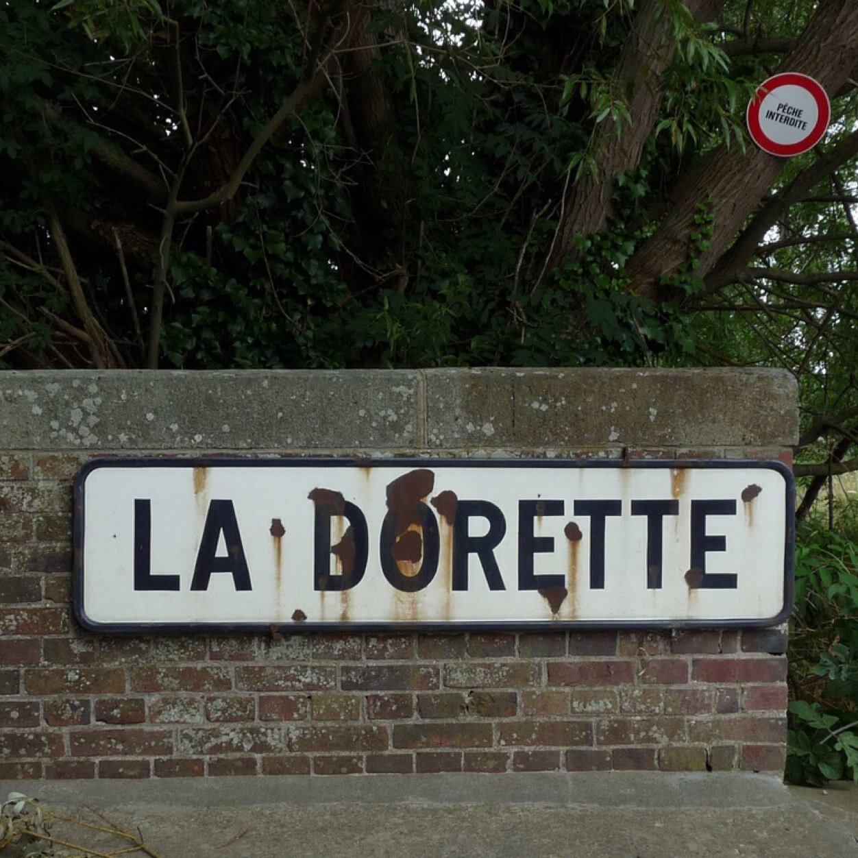 DoretteTweets's profile picture. 