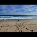 Ela_Chip's profile picture. 