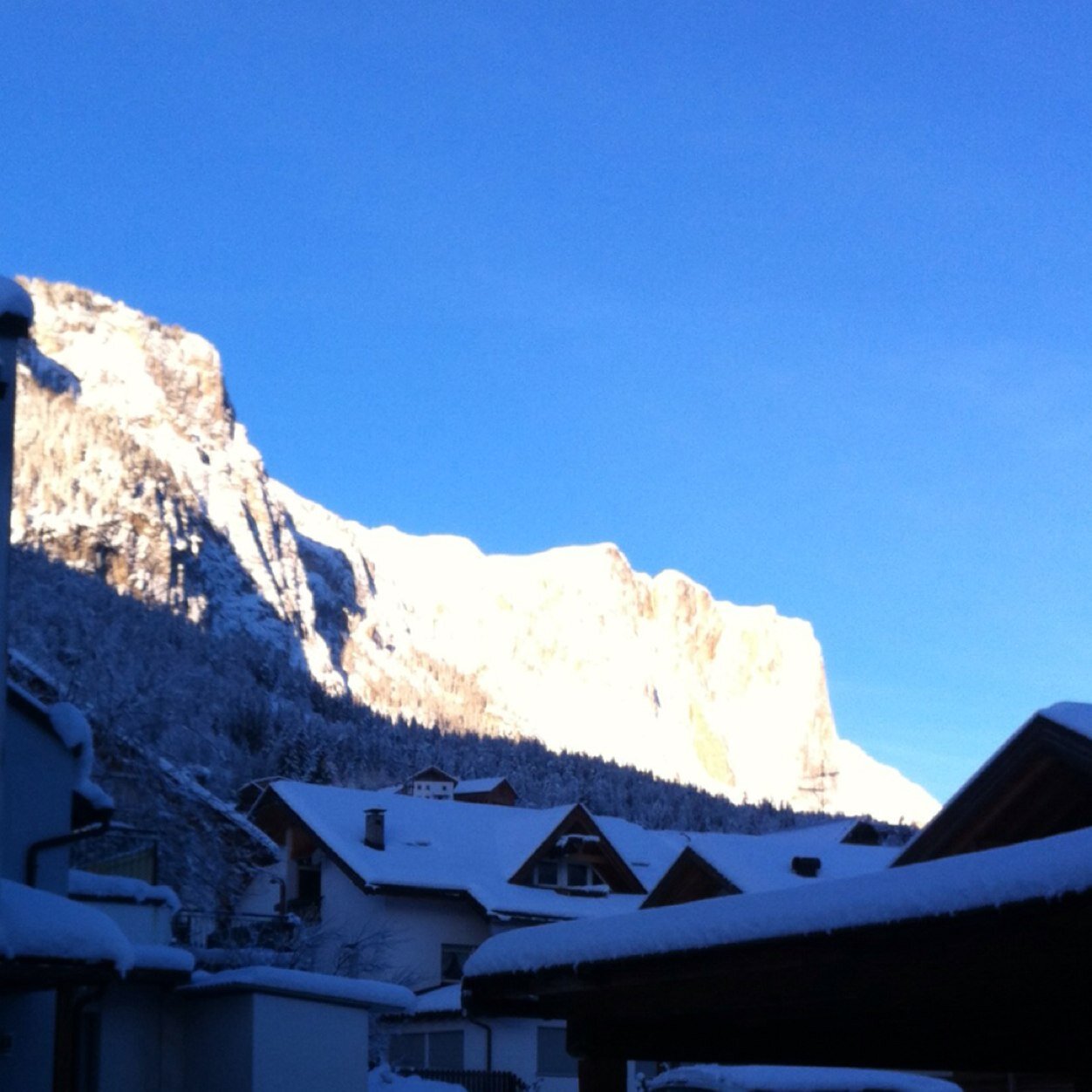 FabioLavinia's profile picture. 