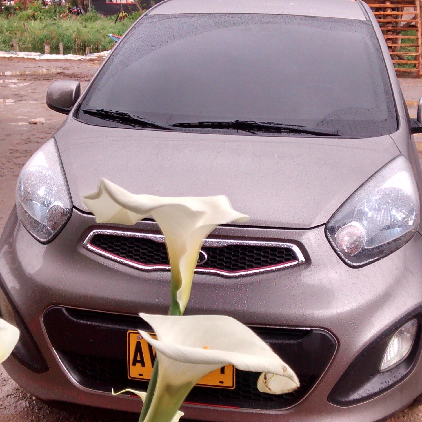 mariodelgado79's profile picture. 