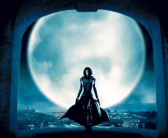 firethorn12312's profile picture. 