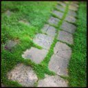 sorhant's profile picture. Mac boy pour SJ et Ronald, éternel optimiste, Carrefour et SRFC sont mes vecteurs de passion