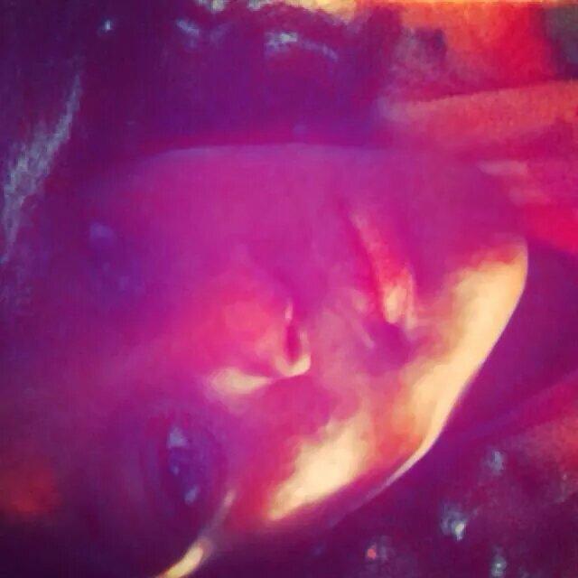 工 ﾚo乇 ㄚ◯∪ 2 ∞ & b乇ㄚ◯~ A happy little hippie