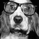 martindamico's profile picture. 