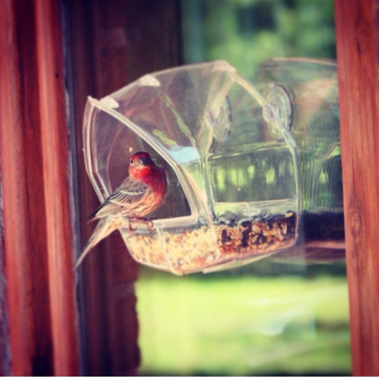 Jojo113Com's profile picture. وابتسم فالابتسامه صدقه،، اللهم انصر سوريا