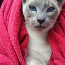 Helen Storey - @helenstorey - Twitter