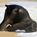 Kris Bowman - @krissib2010 - Twitter