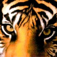 Collectibles N More (@satch6198) 's Twitter Profile Photo Collectibles N More (@satch6198) 's Twitter Profile Photo