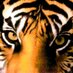 Collectibles N More (@satch6198) Twitter profile photo Collectibles N More (@satch6198) Twitter profile photo