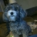 Donna Lantz - @lantzdm - Twitter