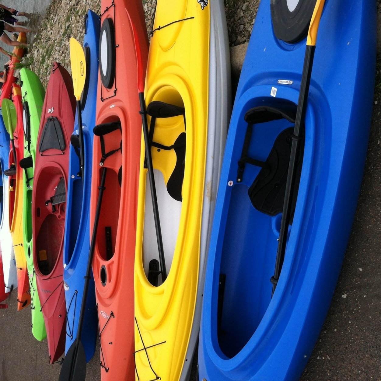 deannwiles's profile picture. 