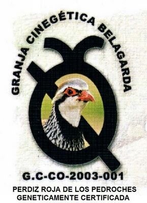 cineg_belagarda's profile picture. 