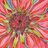GrasbyArtStudio's profile image