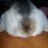 kisstoheart's profile image