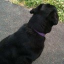 LadyMac2626's profile picture. theatre nurse, absolutely love AFL (Hawthorn)