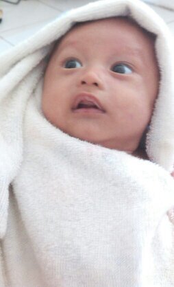 adi4afril's profile picture. gk mungkin jadi malaikat...tp mbo ya jgn jadi setan pula. job: #anakshaleh #ayah #suami #manusiaseutuhnya #abdiALLAH my: as roma...munited...persib...realmadrid