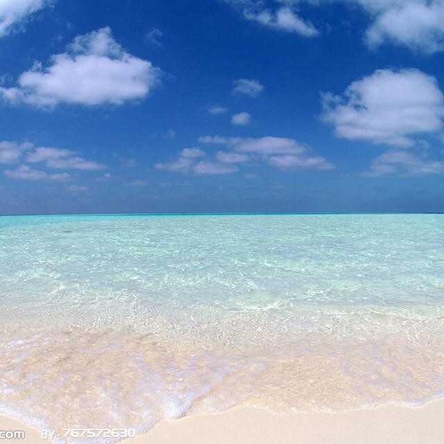 jl80845716's profile picture. 