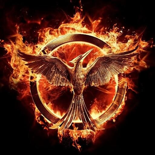 9edexcel's profile picture. 