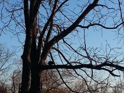 AgashN's profile picture. Főõđ Ľøvĕŕ # Ňäťůřë Âďmïřěŕ # Łôvé ïňťĕŕïõř đěšįğńš & Făšhìőń # The happiness of your life depends on the quality of your thoughts.