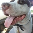 moises ibañez - @moiibanez - Twitter