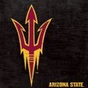 PaddyFlaherty's profile picture. Double Double animal style chopped chilis extra toast.