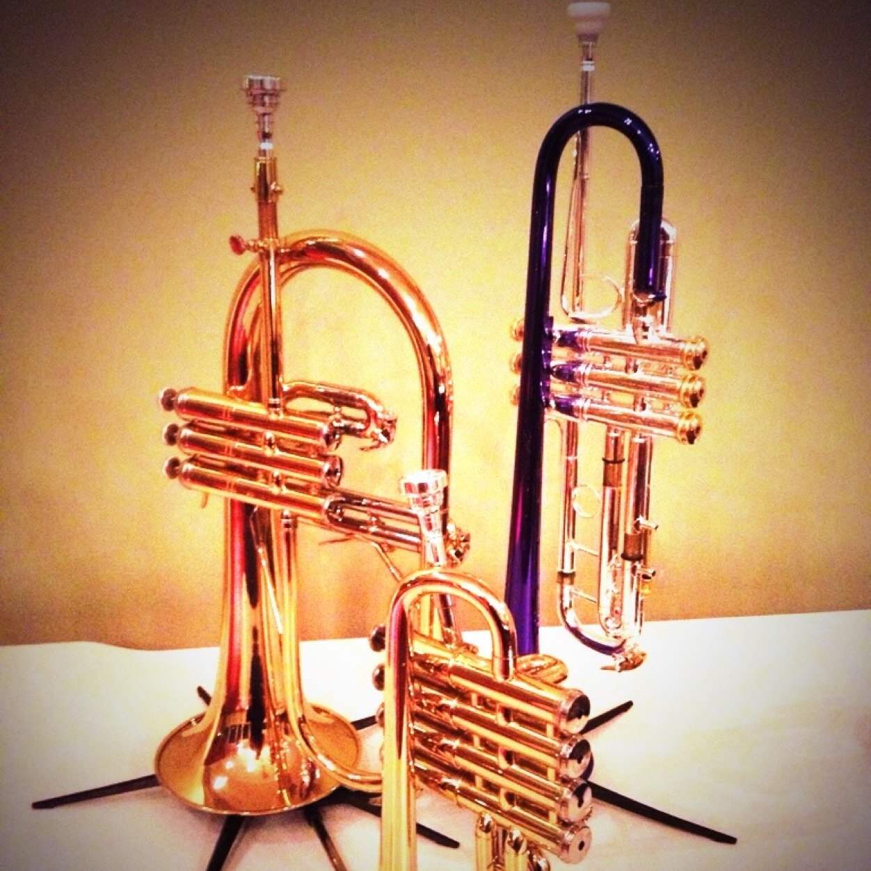 Semi-Pro Trumpet Player with a sarcastic dry sense of humour. Always try to promote & see local live music. Love Historic motor sport