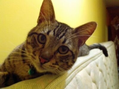 zner69's profile picture. 