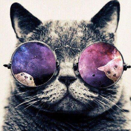 ZillsBills's profile picture. https://t.co/3qGS4JfMq1