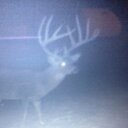 hatelatner71's profile picture. 