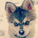 Andrew Koster - @065Dawg - Twitter