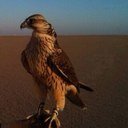 ابوعذاري (@0654a) Twitter