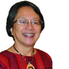 Former UN Special Rapporteur on the rights of indigenous peoples (2014-2020)