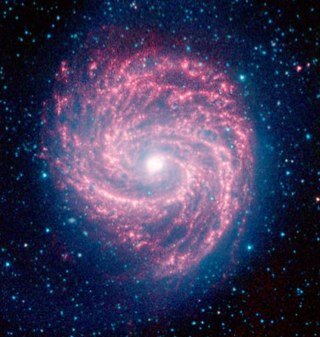 Toxiin41's profile picture. 