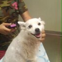 mark lavelle - @lavellemark - Twitter