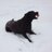 Jmc975's profile image