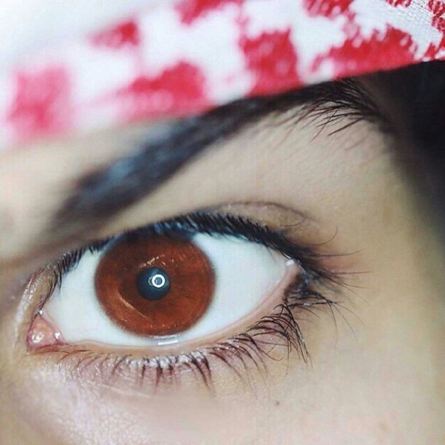 ‏‏‏‏‏‏‏‏‏‏‏‏الحمدلله ع كل حال ♥