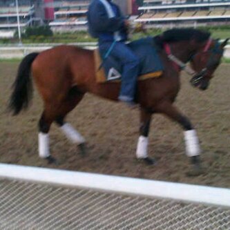 elbigdelhipismo's profile picture. 