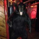 albright12's profile picture. 